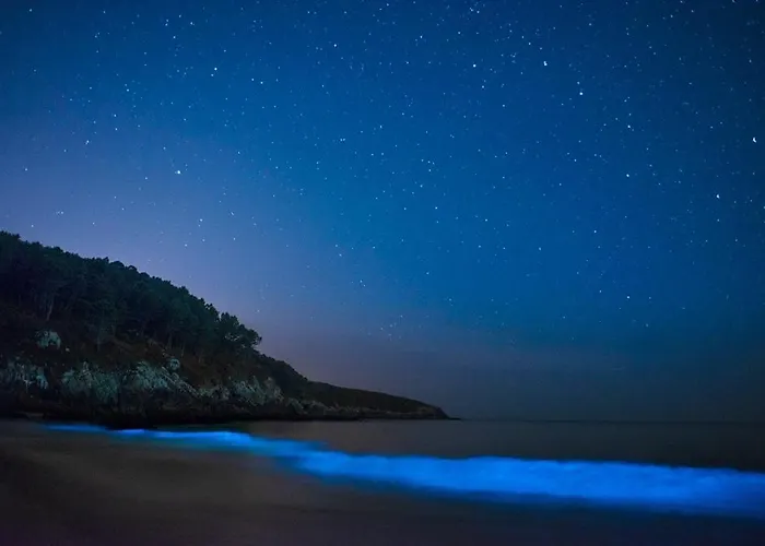 Casa Do Grallo Ferienhaus Corcoesto