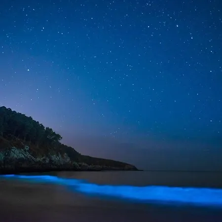 Casa Do Grallo 度假居 Corcoesto